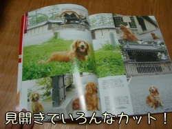 ネエネ、本屋に走るっ!!
