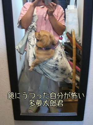 おニューなキャリーバッグ