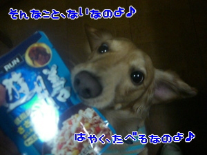 先日いただいた秋田のグルメ