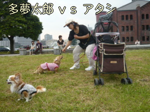 【夏の大遠足会】「大」番外編(しつこい?爆)