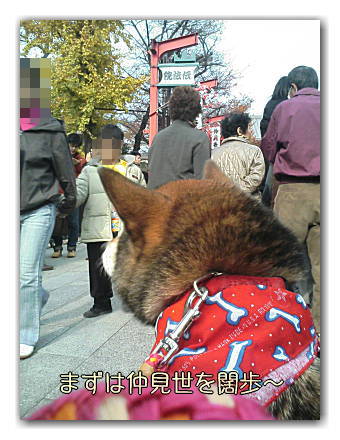 ヒカタム in ASAKUSA 【その1】