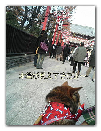 ヒカタム in ASAKUSA 【その1】