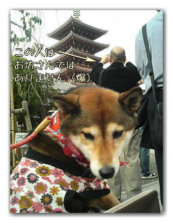 ヒカタム in ASAKUSA 【その1】