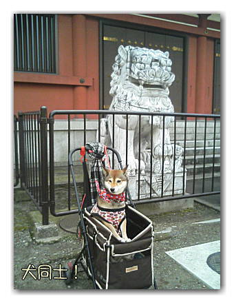 ヒカタム in ASAKUSA 【その1】