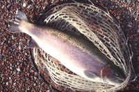 『すそのFP』でストレス解消釣行へ・・・・。