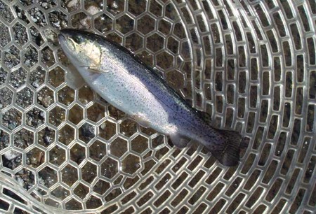 怒涛のWヘッダーで大爆釣????PARTⅠ