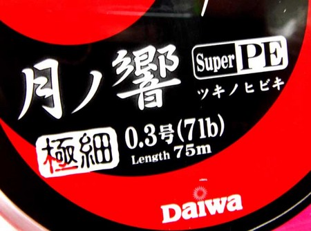 強烈な『PEライン』が登場か???