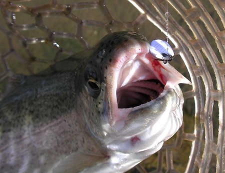 今年初めての『FISH ON!鹿留』さん。