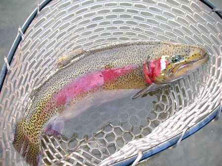 そして・・・開成水辺フォレストスプリングスに・・・。