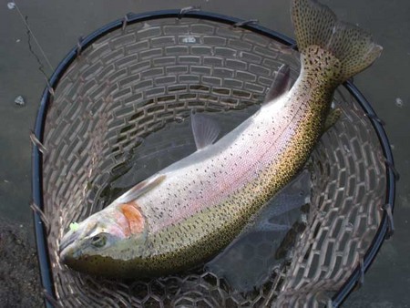 気分転換にFISH ON! 鹿留さんへ!!!
