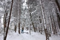 * 雪の名山 那岐山登山 * 岡山県 奈義町
