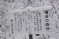 * 雪の名山 那岐山登山 * 岡山県 奈義町