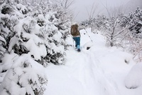 * 雪の名山 那岐山登山 * 岡山県 奈義町