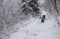 * 雪の名山 那岐山登山 * 岡山県 奈義町