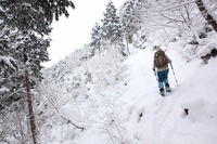 * 雪の名山 那岐山登山 * 岡山県 奈義町