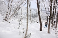 * 冬の那岐山登山 * 岡山県 奈義町