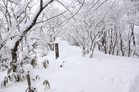 * 冬の那岐山登山 * 岡山県 奈義町