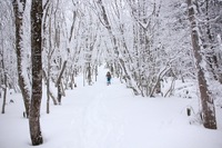 * 冬の那岐山登山 * 岡山県 奈義町