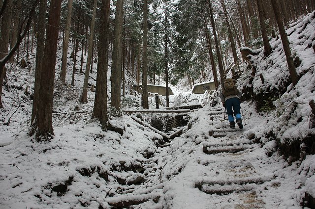 *マッターホルン登頂・・関西のです(笑) 高見山登山 *
