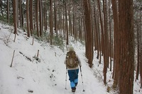 *マッターホルン登頂・・関西のです(笑) 高見山登山 *