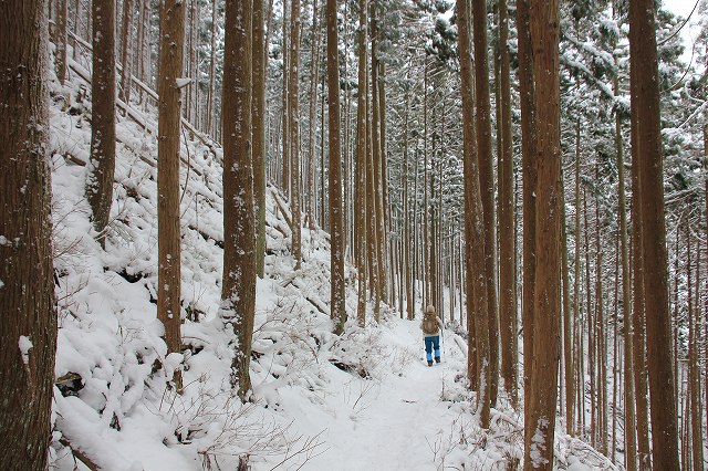 *マッターホルン登頂・・関西のです(笑) 高見山登山 *
