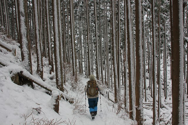 *マッターホルン登頂・・関西のです(笑) 高見山登山 *