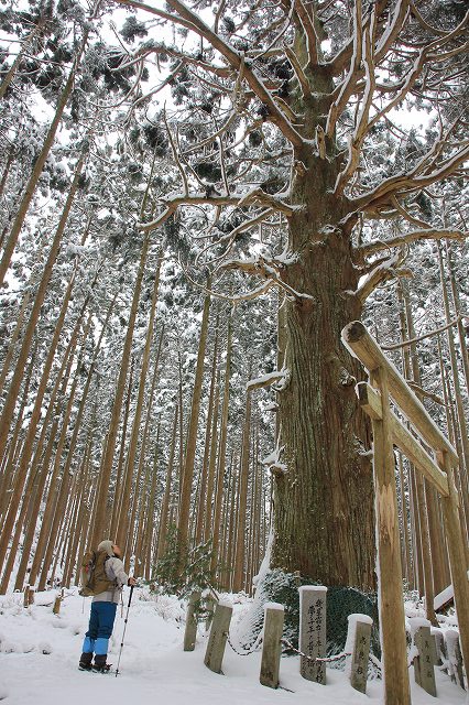 *マッターホルン登頂・・関西のです(笑) 高見山登山 *