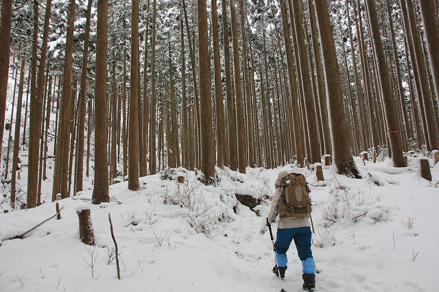 *マッターホルン登頂・・関西のです(笑) 高見山登山 *