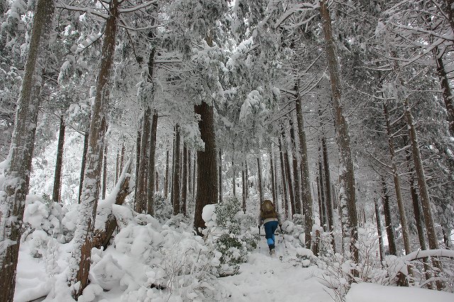 *マッターホルン登頂・・関西のです(笑) 高見山登山 *