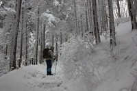 *マッターホルン登頂・・関西のです(笑) 高見山登山 *