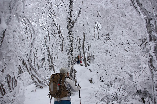*マッターホルン登頂・・関西のです(笑) 高見山登山 *