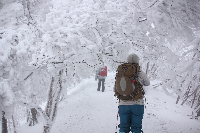 *マッターホルン登頂・・関西のです(笑) 高見山登山 *