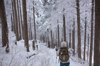 *マッターホルン登頂・・関西のです(笑) 高見山登山 *