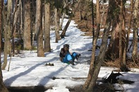 * 修業のツボ足ハイク * ダルガ峰 岡山県