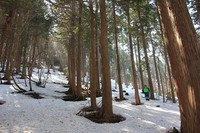 * 修業のツボ足ハイク * ダルガ峰 岡山県