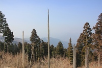 * 修業のツボ足ハイク * ダルガ峰 岡山県