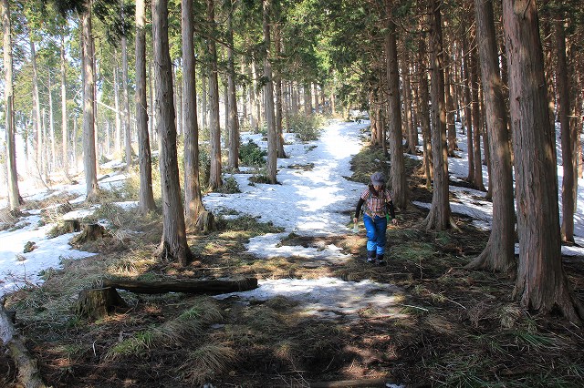 * 修業のツボ足ハイク * ダルガ峰 岡山県