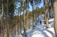 * 修業のツボ足ハイク * ダルガ峰 岡山県