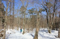 * 修業のツボ足ハイク * ダルガ峰 岡山県