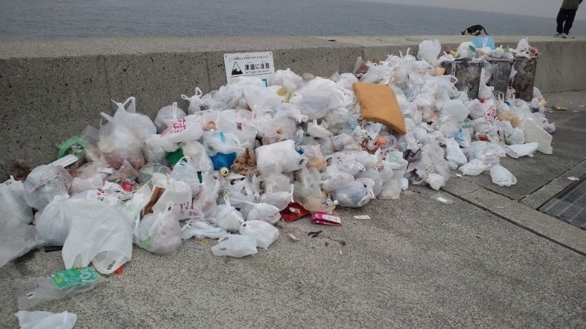 2011年釣り納め…今年一年を振り返って。