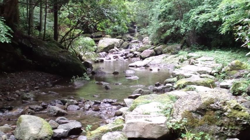 清涼フィッシング♪