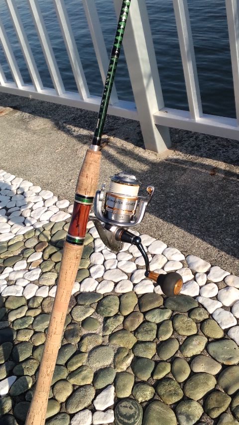 フナ釣りでスランプ脱出!のはずが…