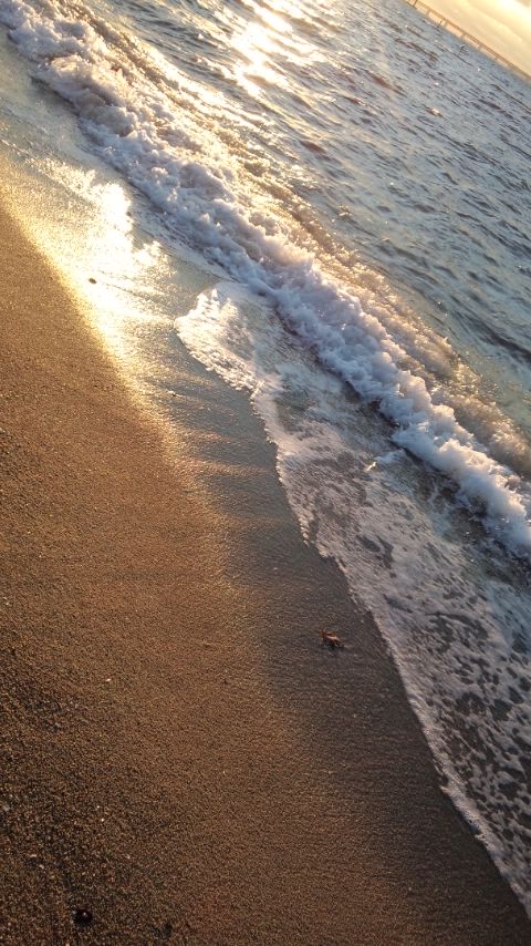 The SunSet