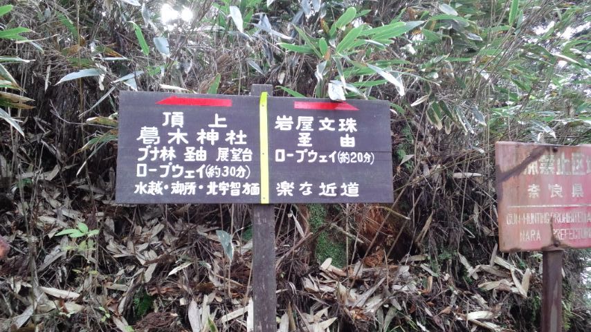 海もいいけどたまには山もいいね♪