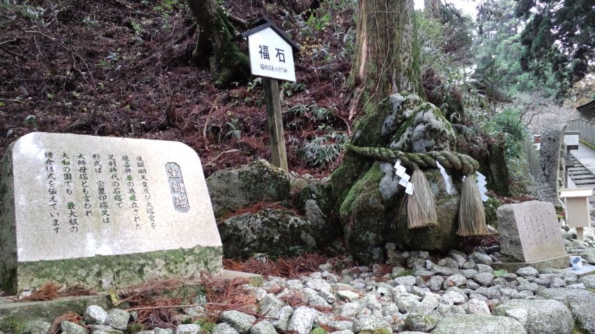 海もいいけどたまには山もいいね♪