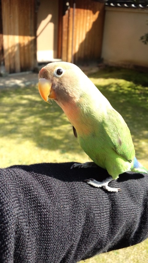 ホームウェーディングで癒されるの巻!^^