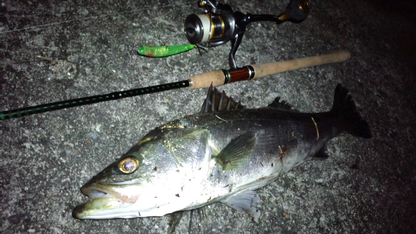 2011年釣り納め…今年一年を振り返って。