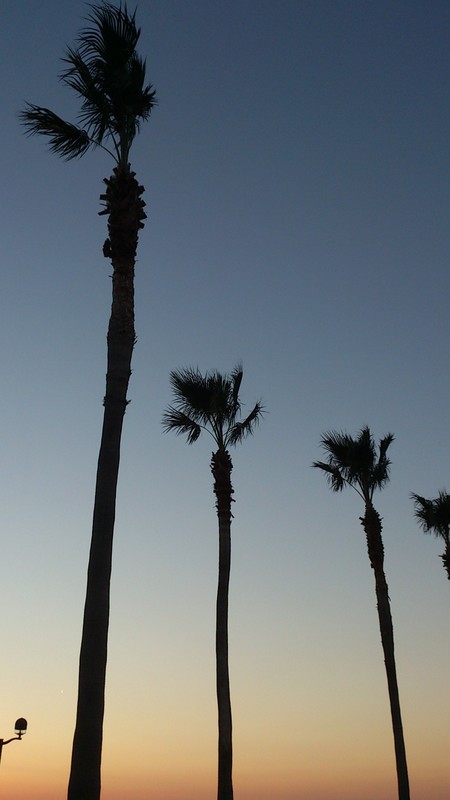 Its Beautiful Day