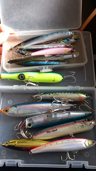 冬の琵琶湖!キャスティング!