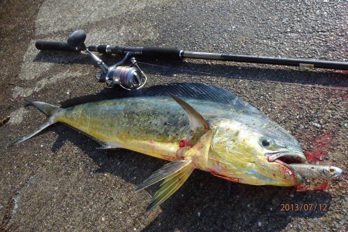 MahiMahi リベンジマッチ!!